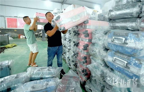 邯郸 微工厂助农增收