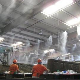 植物型除臭剂图片